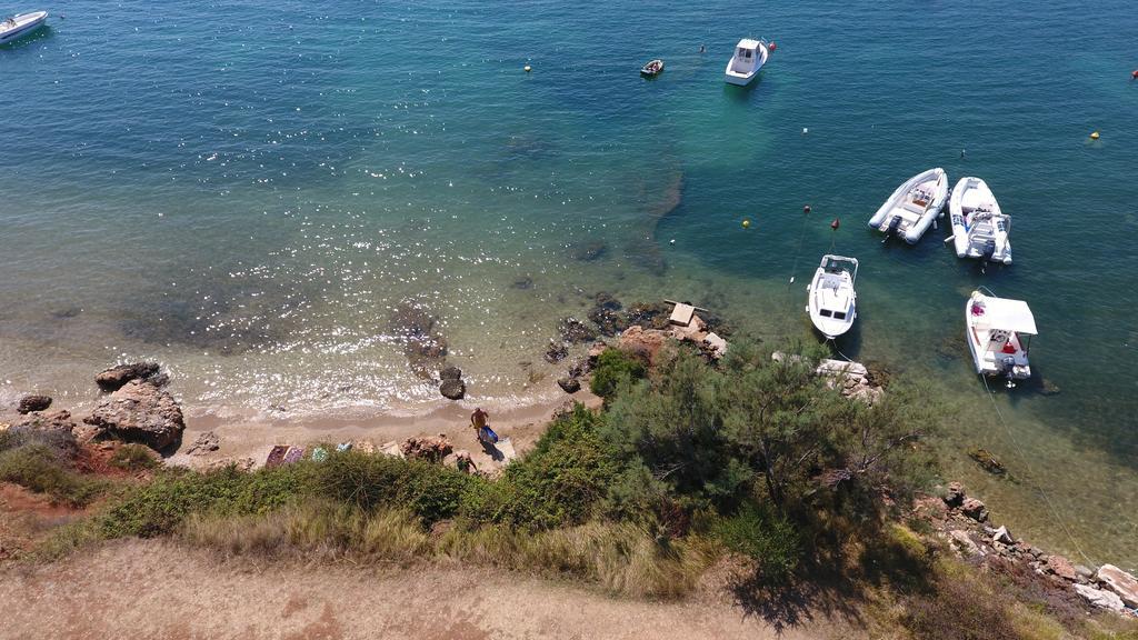 Villa Jurac Povljana Dış mekan fotoğraf