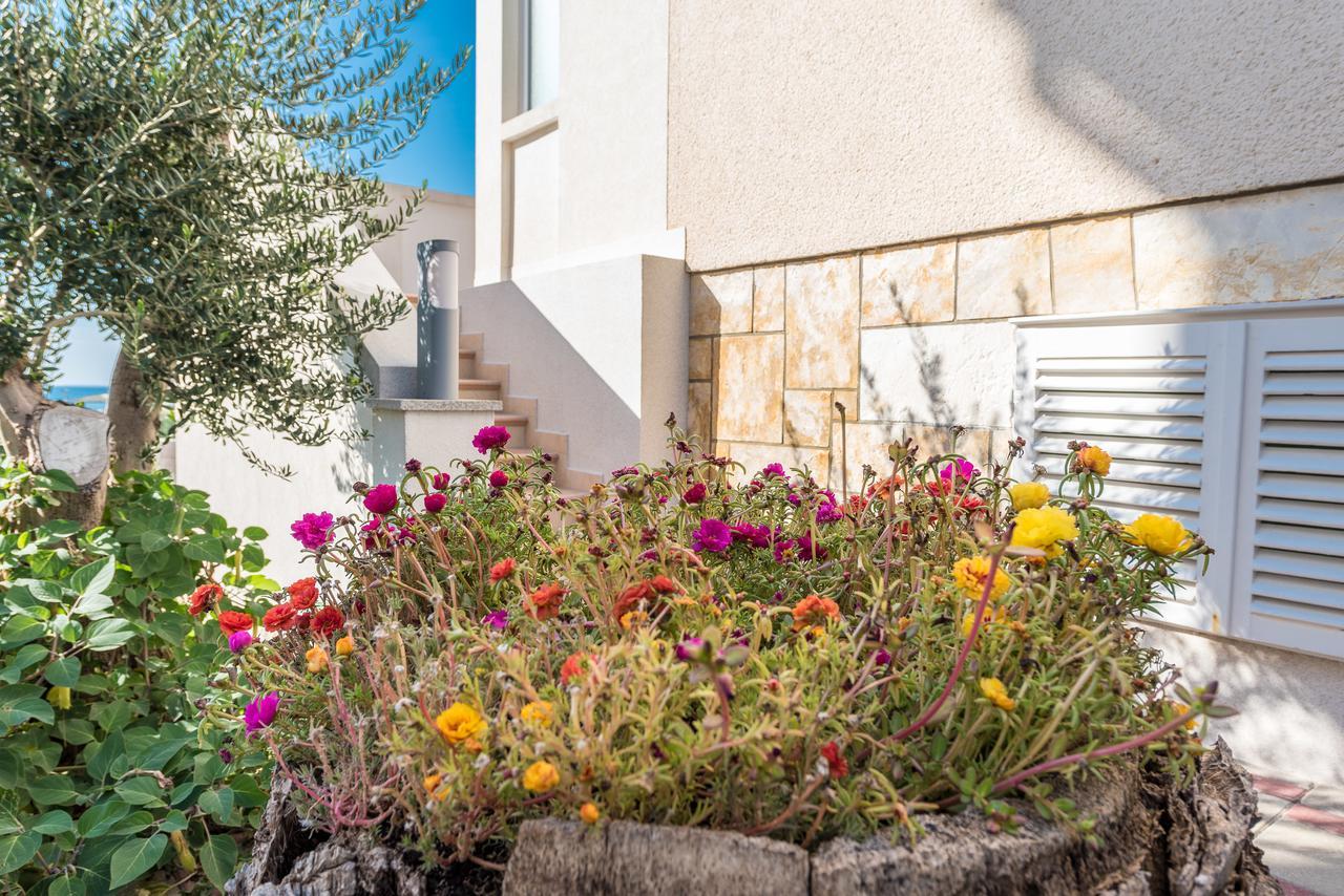 Villa Jurac Povljana Dış mekan fotoğraf